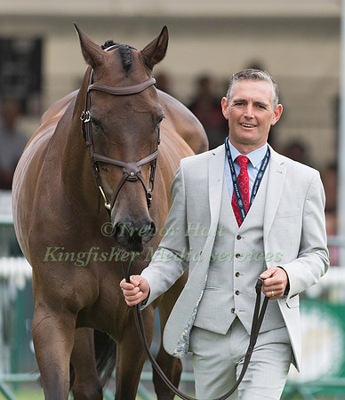 Andrew James (GBR) and Celtic Morning Star
