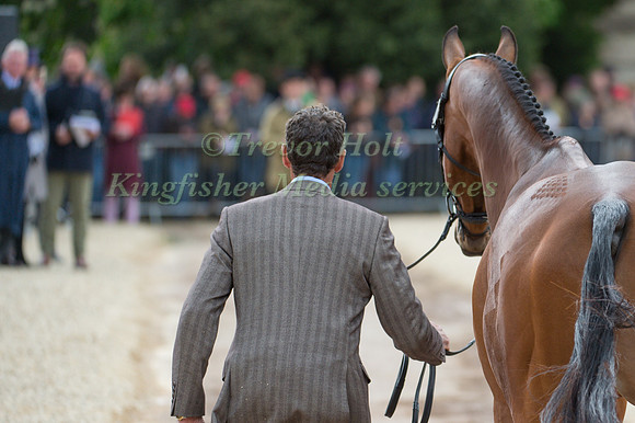 Mark Todd (NZL) and Leonidas II