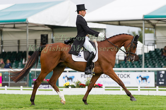 Tim Price (NZL) and  Ringwood Sky Boy