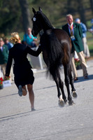 Sanna Siltakorpi and Luck Accord