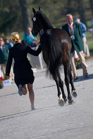 Sanna Siltakorpi and Luck Accord