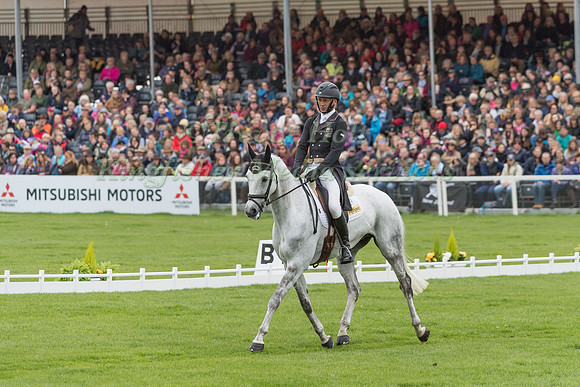 Andrew Nicholson (NZL) and  Swallow Springs