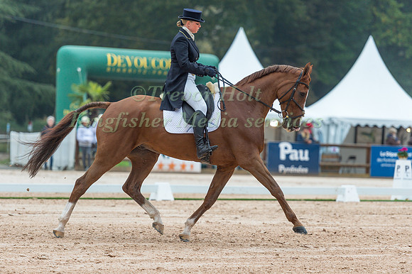 Roberta Fox (roo)  (GBR) riding Fleet Street