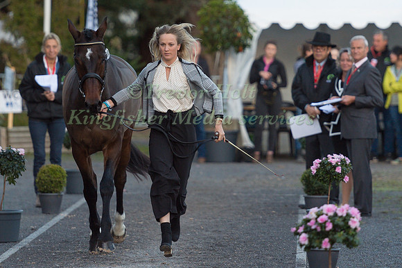 Lissa GREEN  (GBR) AND HOLLYFIELD