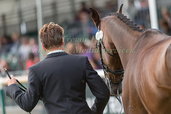 Christopher Burton (AUS) and  Haruzac
