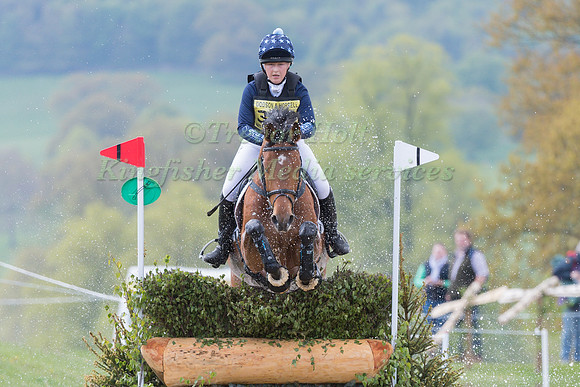 AMY I ROBERTS AND  LIONHEART