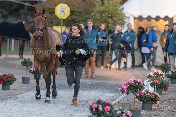 SELINA MILNES AND IRON