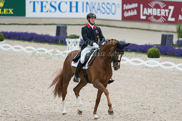 Michael Eilberg ((GBR)) and Woodlander Farouche taking part in the Prize of VUV - Vereinigte Unternehmerverbände Aachen Prix St. Georges CDI4*