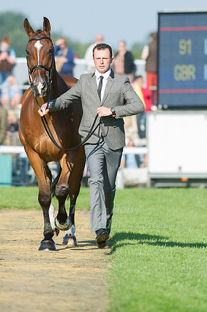 Hannah Bate (GBR) riding Finbury Hill taking part in the Show Jumping Phase