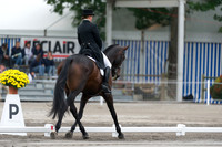 Two Star Dressage