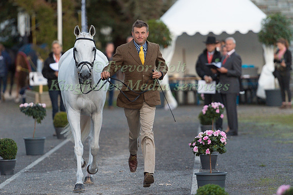 Boyd MARTIN (USA) AND CRACKER JACK