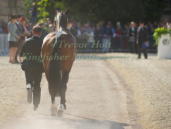 Michael Jung and Leopin FST
