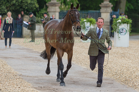 Oliver Townend (GBR) and ODT Ghareeb at the Final  Horse Inspection of the 2017 Mitsubishi Motors Badminton Horse Trials