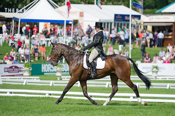 Harriet Brise and Coakham Clover
