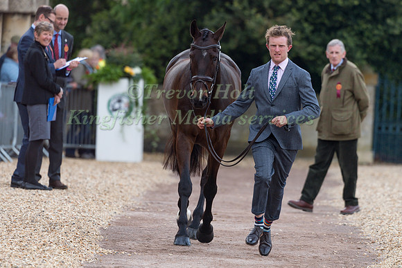 Nicholas Lucey (GBR) and  Proud Courage