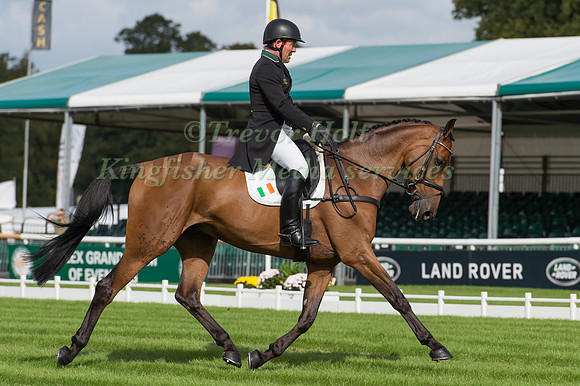 AUSTIN  O'CONNOR (IRL) RIDING BALHAM HOUDINI