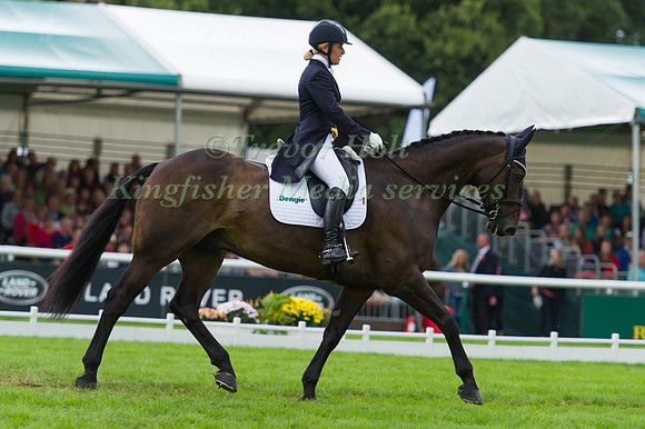 STACEY L SHIMMONS (GBR) RIDING ORIONS PROMISE