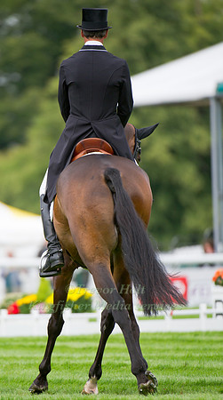Andrew Nicholson and Calico Joe