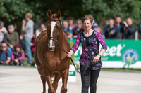 SOPHIE VAN DER MERWE  (GBR) AND OBOS CLARE AT THE EQUI-TREK CCI *** FINAL HORSE INSPECTION OF THE 2017 BRAMHAM INTERNATIONAL HORSE TRIALS