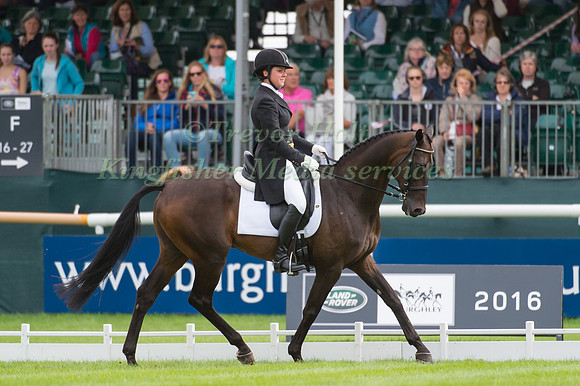 LIBBY  HEAD (USA) RIDING SIR ROCKSTAR