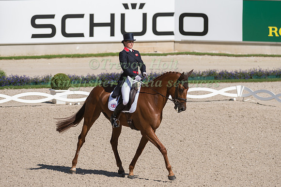 PIGGY FRENCH (GBR) AND QUARRYCREST ECHO