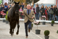 Aidan KEOGH (IRL) AND MASTER TREDSTEP