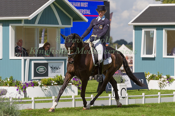 Ludwig  Svennerstal (SWE) and Balham Mist
