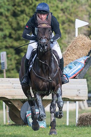 OLIVER TOWNEND AND ARKLOW PUISSANCE