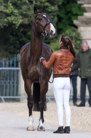 Ariel Grald (USA) and Leamore Master Plan