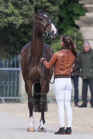 Ariel Grald (USA) and Leamore Master Plan