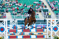 Show Jumping