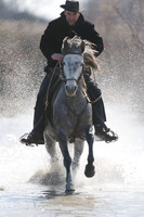 Cross Country test Camargue Style