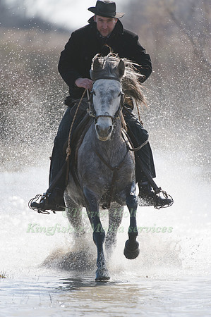 Cross Country test Camargue Style