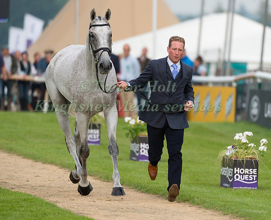 Oliver Townend (GBR) and Ballaghmor Class