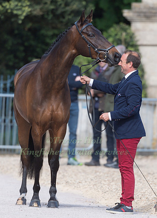 Jean Lou Bigot (FRA) and Utrillo du Halage