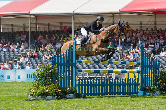 ALEXANDER BRAGG (GBR) RIDING  ZAGREB