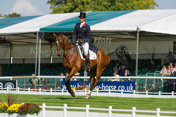 William Fox-Pitt and Parklane Hawk