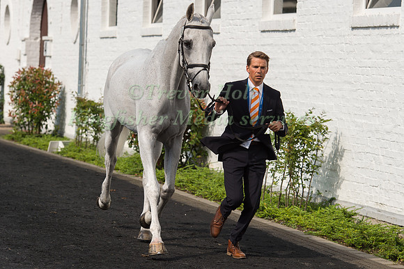 Tim Lips (NDL) and Keyflow at the Horse inspection of the CICO Aachen 2016