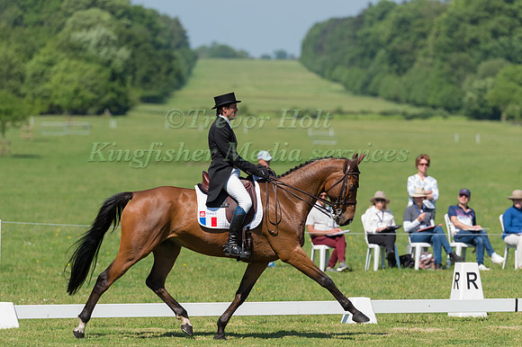 GEOFFROY SOULLEZ (FRA) RIDING SACRE LOUVO IN THE DRESSAGE PHASE OF THE CICO THREE STAR AT THE 2017 HOUGHTON INTERNATIONAL HORSE TRIALS