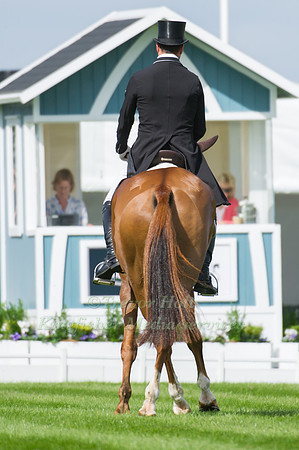 TIM  PRICE (NZL) RIDING BANGO