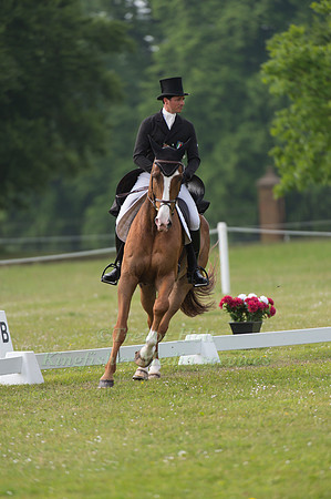 Alberto  Giugni (ITA) riding  Mollington II