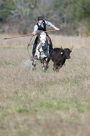 A Guardian taking part in the bull flicking competition at the annual Camagri