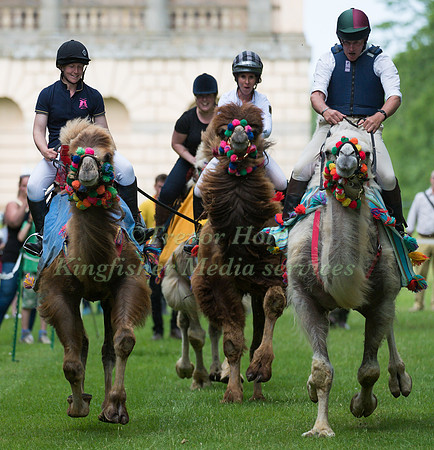 BETTINA HOY  TAKING PART IN THE CAMEL RACING AT THE 2017 HOUGHTON INTERNATIONAL HORSE TRIALS