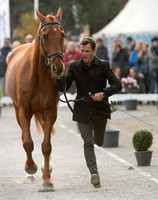 Cedric LYARD (FRA) AND QATAR DU PUECH ROUGET