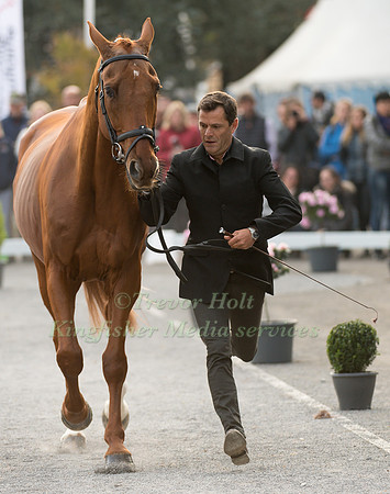 Cedric LYARD (FRA) AND QATAR DU PUECH ROUGET