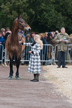 Emily Galbraith and Crown Alliance
