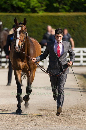 Arthur Bonneau and Quasar Du Saillan