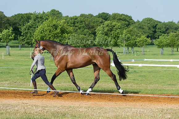 ROSALIND CANTER (GBR) AND REHY ROYAL DIAMOND