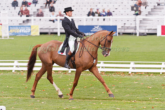 Mathieu Lemoine  and Petrus de la Triballe