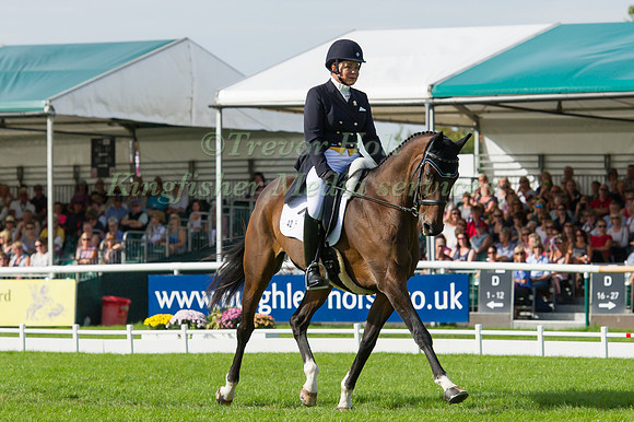 BUNNIE  SEXTON (USA) RIDING RISE AGAINST TAKING PART IN THE DRESSAGE PHASE OF THE  2016 LAND ROVER BURGHLEY HORSE TRIALS